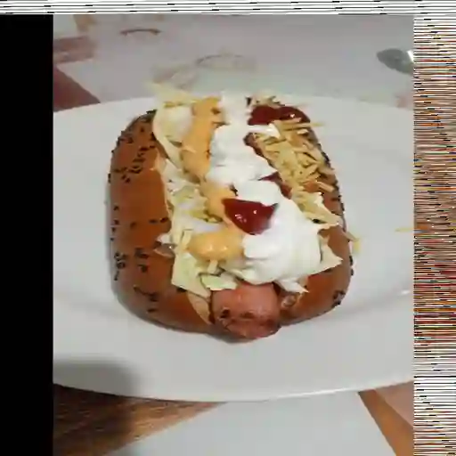 Perro especial