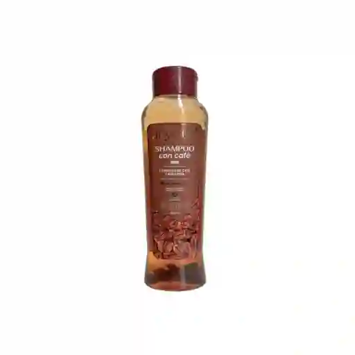 Anyeluz Shampoo Con Café