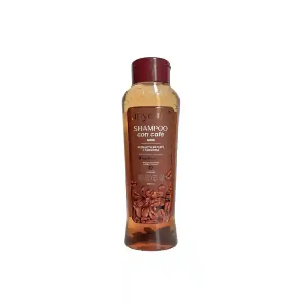 Anyeluz Shampoo Con Café