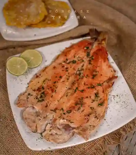 Trucha Al Ajillo