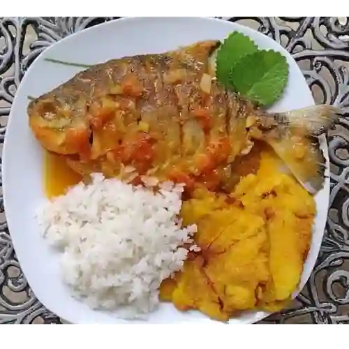 Cachama Sudada