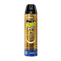 Raid insecticida aerosol mata insectos rastreros, 285ml