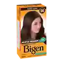 Bigen Tinte Permanente en Polvo