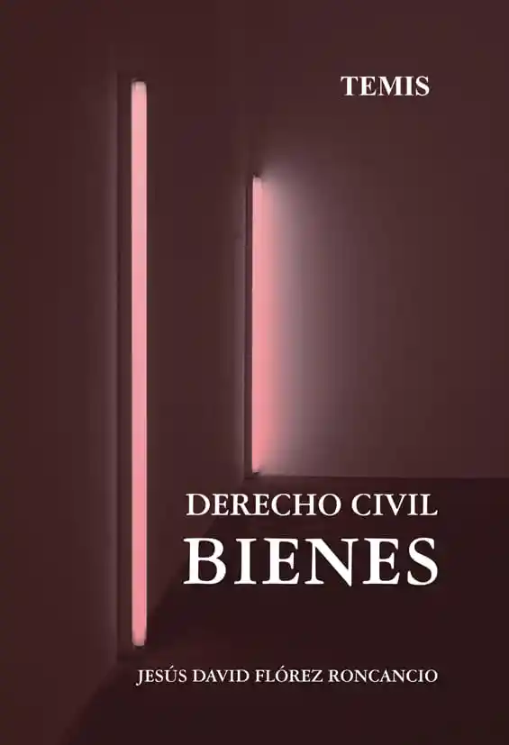 Derecho Civil Bienes