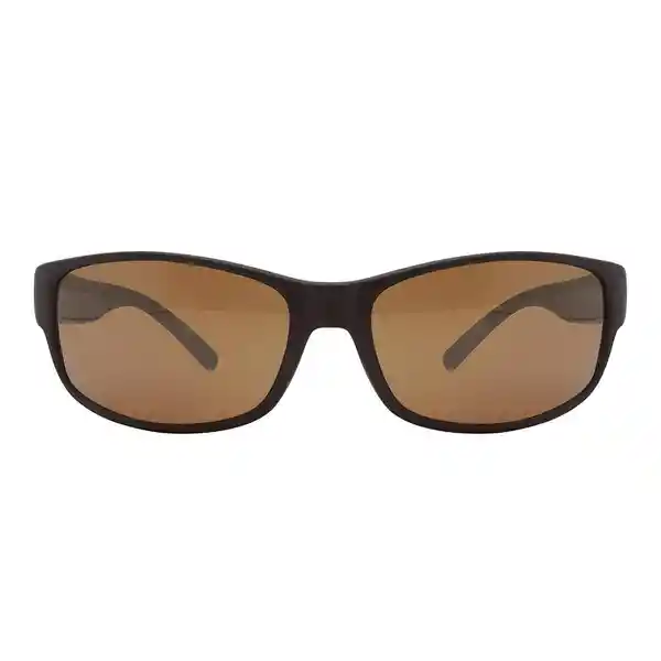 L.A. Express Lentes de Sol Theory Deportivo Café