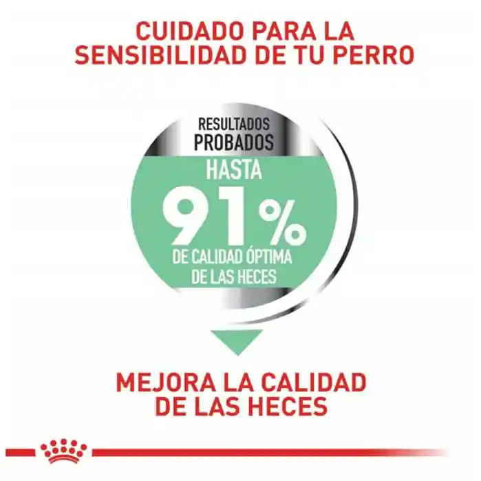 Royal Canin Cuidado Nutrición Medio Digestivo Bolsa