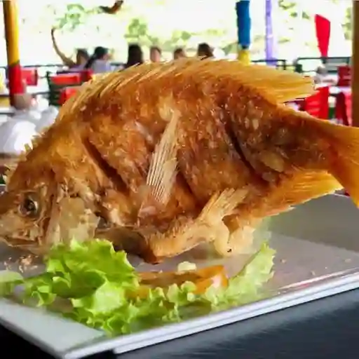 Mojarra