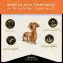 Comida para perros adultos piel sensible razas pequeñas Purina Pro Plan x 7,5 kg