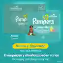 Pampers Pañales Baby-Dry Talla 5 x 112 Unidades