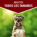 Comida húmeda para perro Dog Chow todos los tamaños cordero x 100 gr