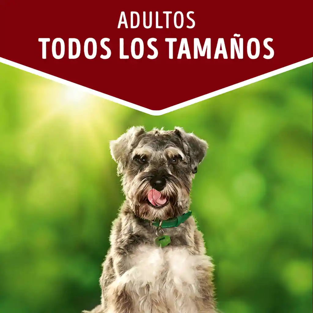Comida húmeda para perro Dog Chow todos los tamaños cordero x 100 gr