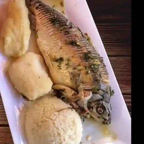 Bocachico frito