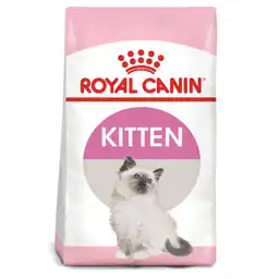 Royal Canin Alimento Para Gato Kitten