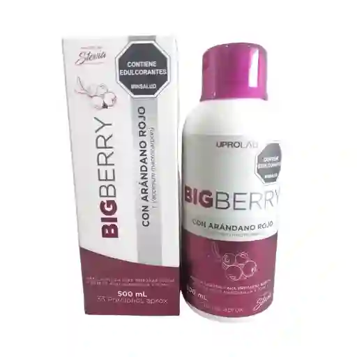 Bigberry Liquido Arandano Frasco