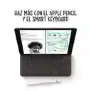 Apple IPad 10.2" 256 GB Plata