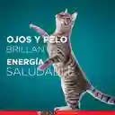 Comida para Gato Pollo y Carne Purina One x 2kg