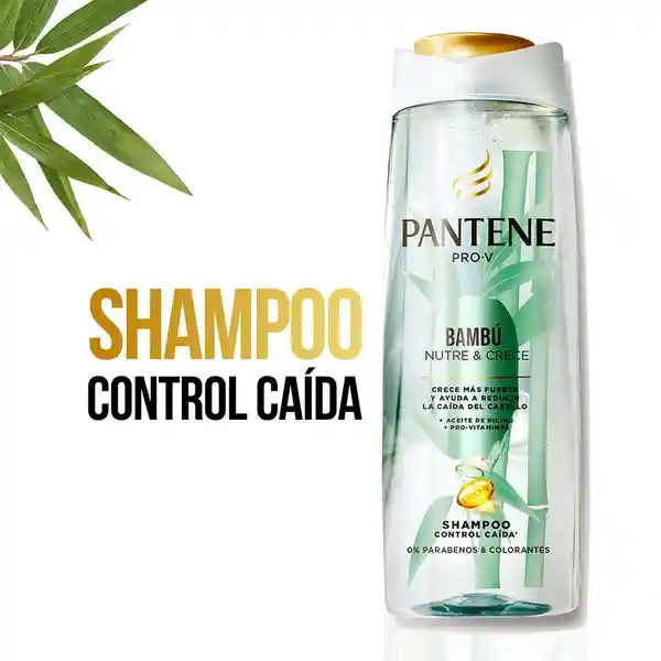 Shampoo Pantene Pro-V Bambu Nutre y Crece Control Caida Champu 400 ml + Acondicionador Pantene Pro-V Bambu Nutre y Crece Rinse 400 ml Pack