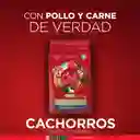Comida para perro Purina One cachorros todos los tamaños Pollo y Carne X 2kg