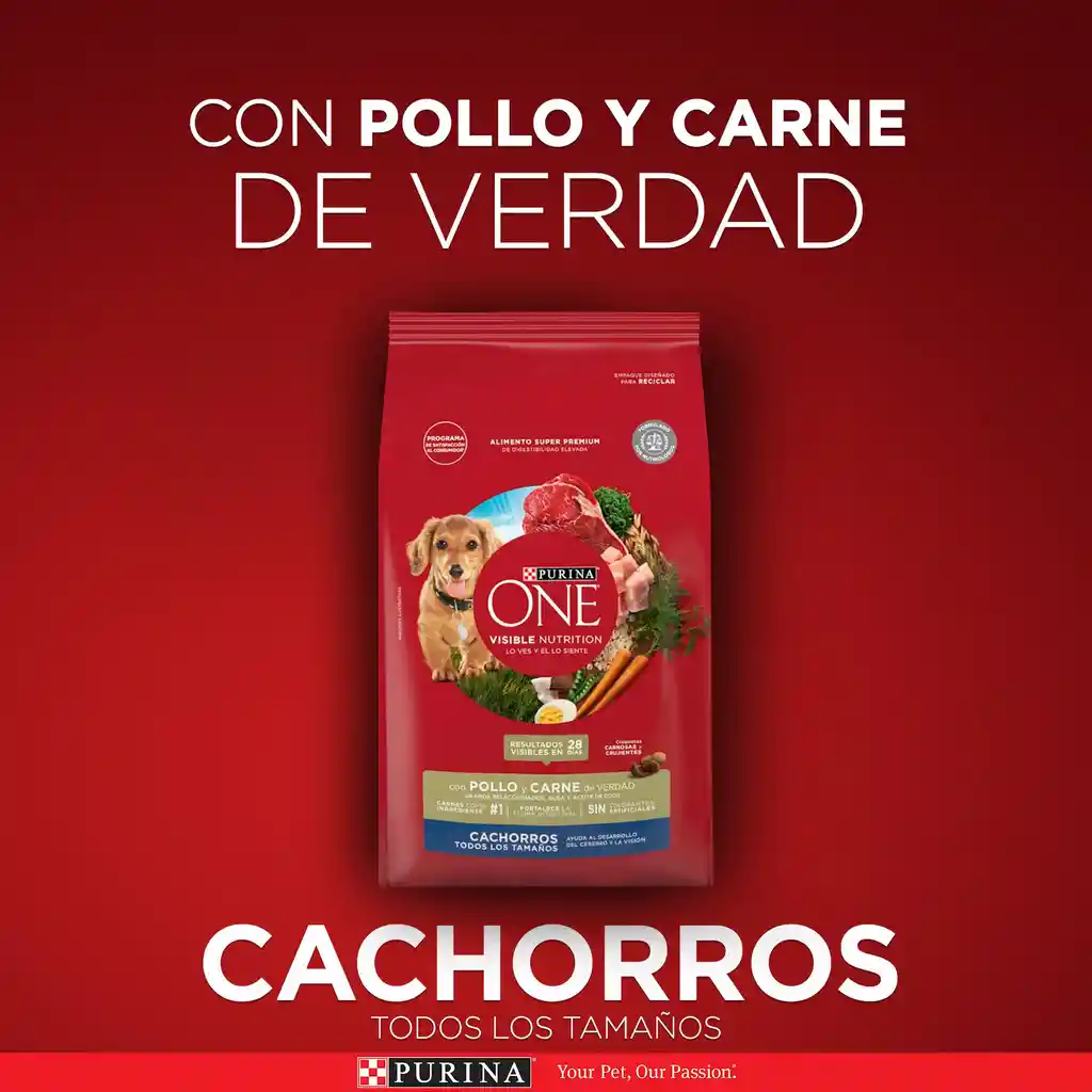 Comida para perro Purina One cachorros todos los tamaños Pollo y Carne X 2kg
