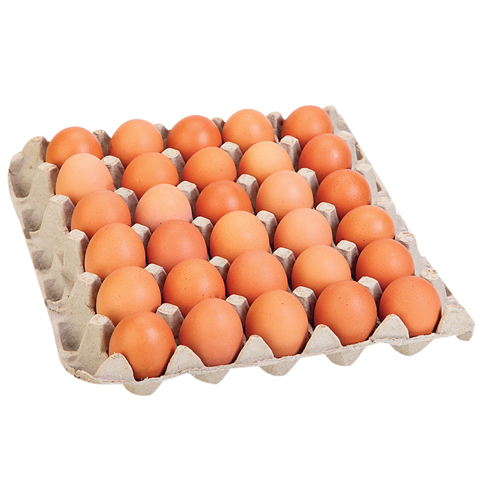 Amarr Huevos Rojos AA 30 und