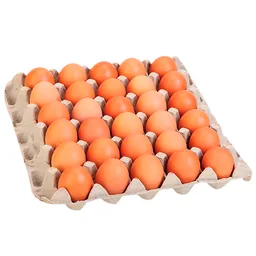 Amarr Huevos Rojos AA 