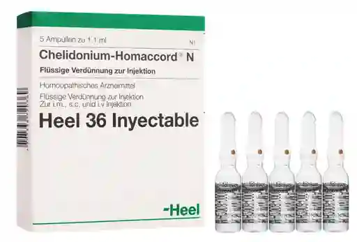 Chelidonium Homaccord (6.6 mg / 6.6 mg)
