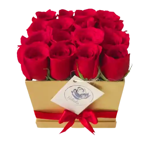 Caja Con 16 Rosas Rojas - Dorada Deluxe