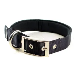 Interpet Collar Perro Grande Surtido Pc 0086