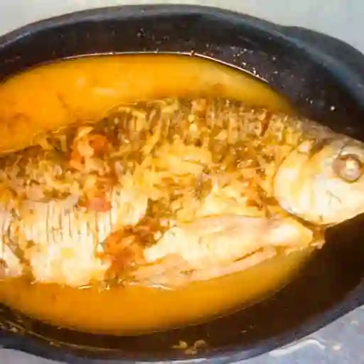 Bocachico en Salsa