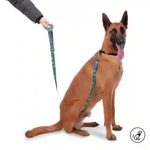 Correa Para Mascota Sencilla Odye S Azul