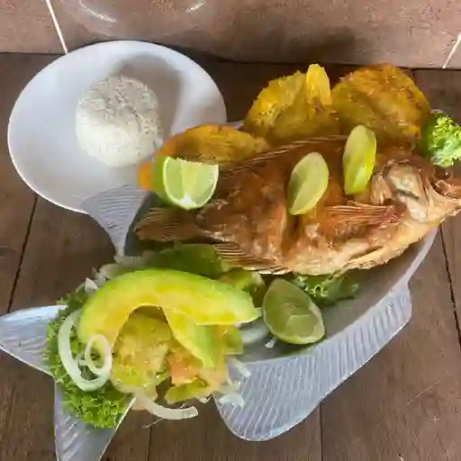 Mojarra Grande