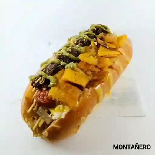 Perro montañero