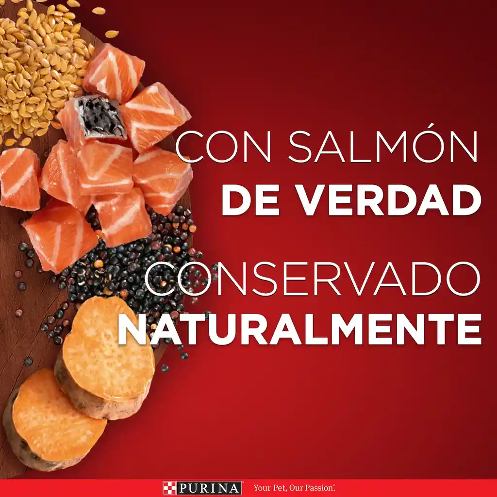 Comida húmeda para perros cachorros y adultos sabor a salmón Purina One x 85gr