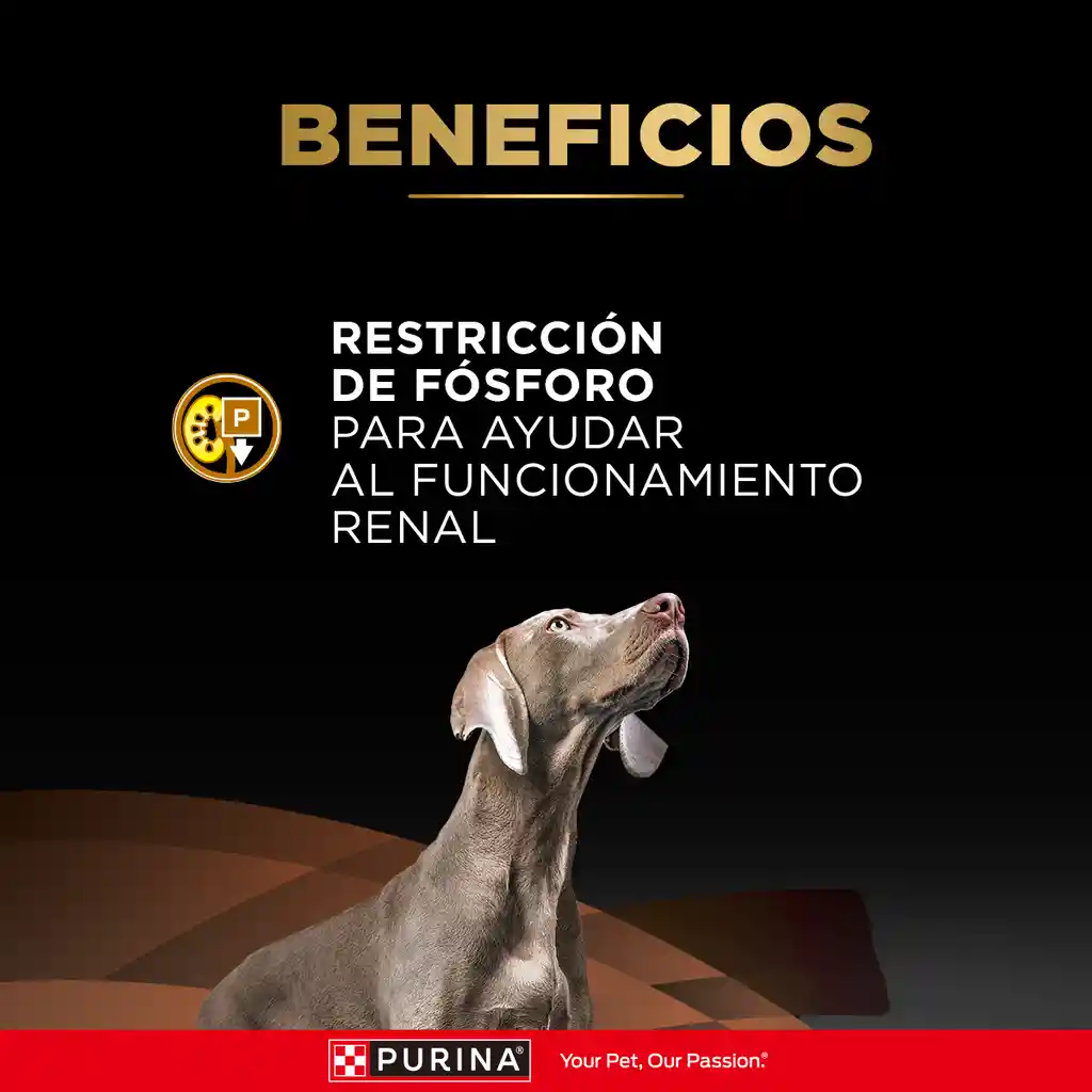 Comida para perro Purina Pro Plan Veterinary Diets NF Enfermedad Renal x 2kg