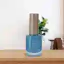 Esmalte de Uñas a Base de Aceite Colorich 16 Miniso