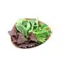 Ensalada Primavera