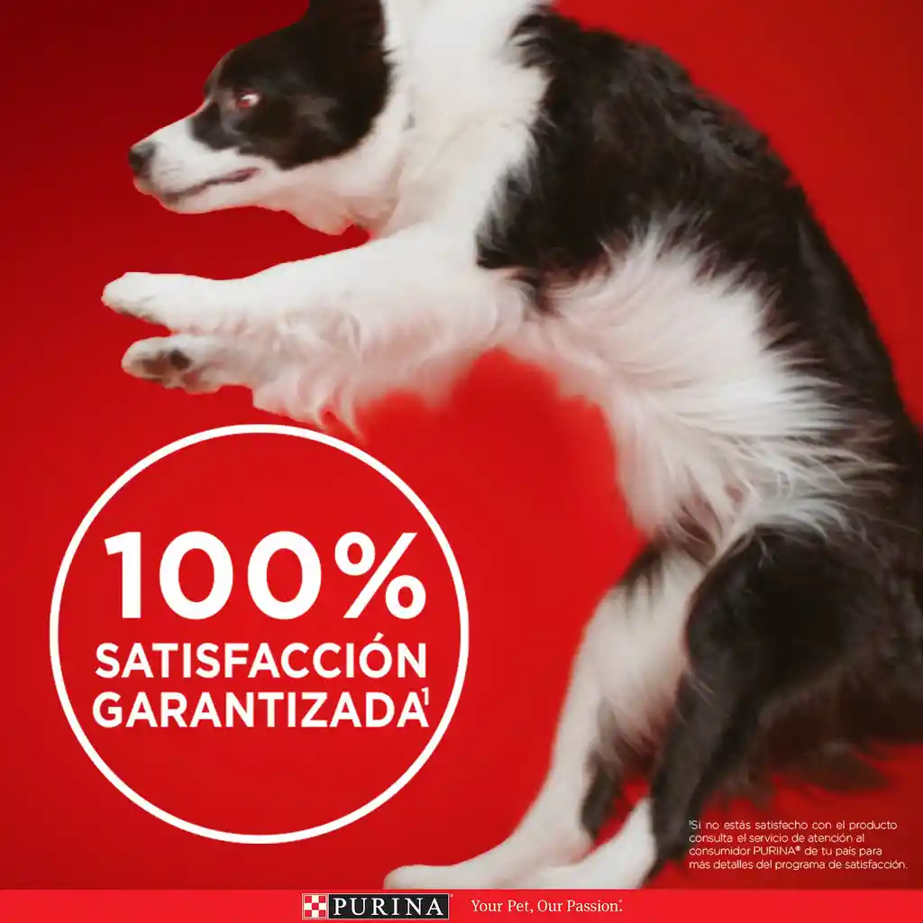 Comida húmeda para perros cachorros y adultos sabor a salmón Purina One x 85gr