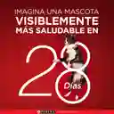 Comida húmeda para perros cachorros y adultos sabor a salmón Purina One x 85gr