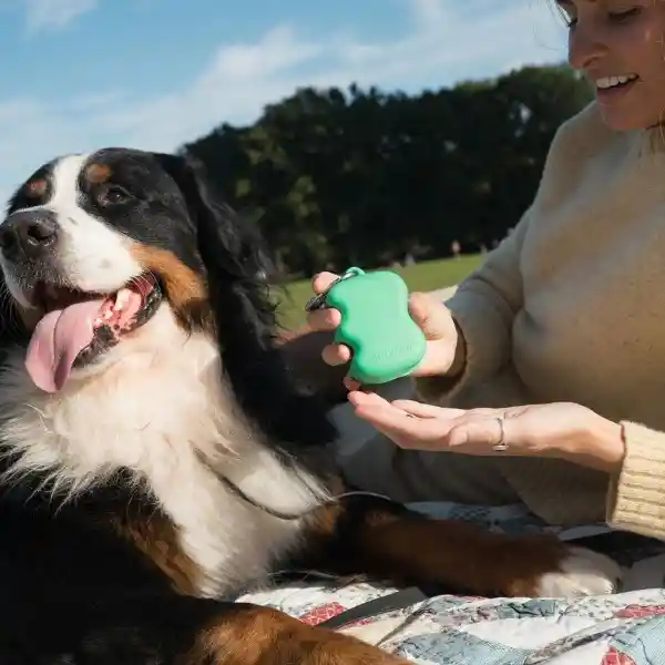 Springer Dispensador de Golosinas Pet Verde