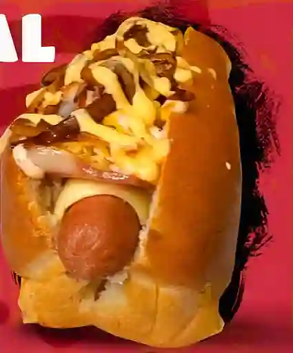 Perro Especial