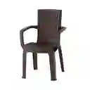 Silla Plastica Aura Con Brazos Vanyplas 73906