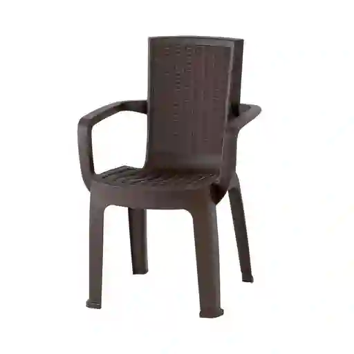 Silla Plastica Aura Con Brazos Vanyplas 73906