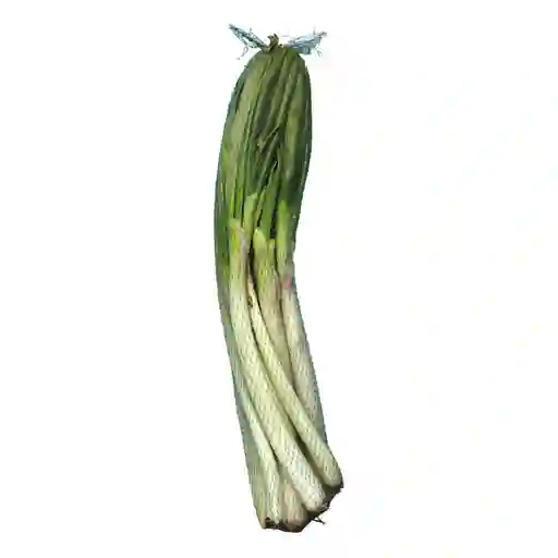 Cebolla Larga