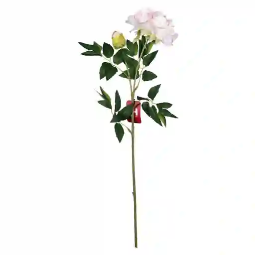 Flor Peonia H&h Art 456-512297