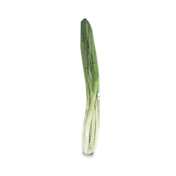 Cebolla Larga Rama