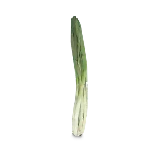 Makro Cebolla Larga Rama