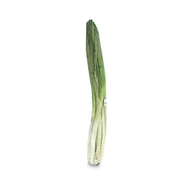 Cebolla Larga Rama