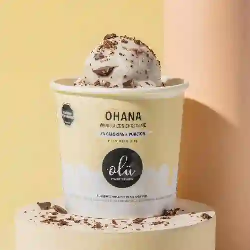 Vainilla con Chips de Chocolate (pote)