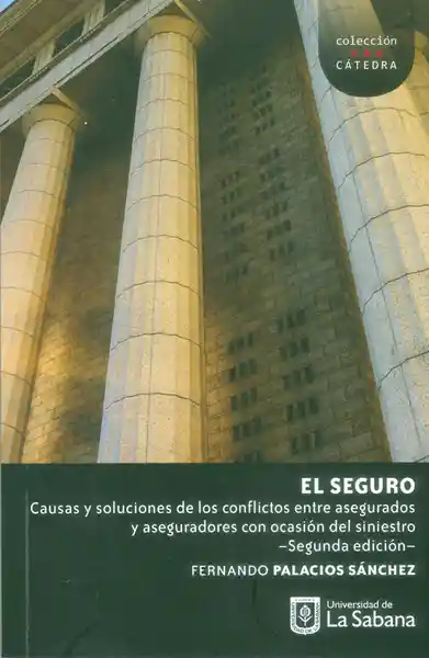 El Seguro - Fernando Palacios Sánchez