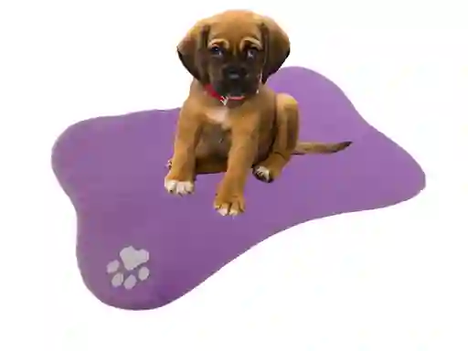 Hally Pets Cama Para Mascotas en Forma de Hueso Lila E1003